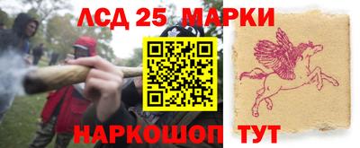 индика Вязьма