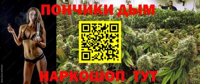 индика Вязьма