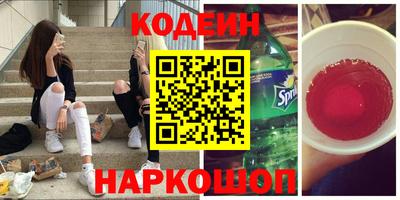 индика Вязьма