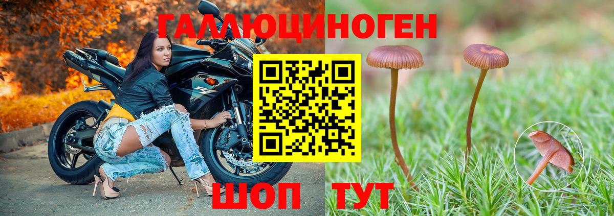 Галлюциногенные грибы ЛСД Котлас