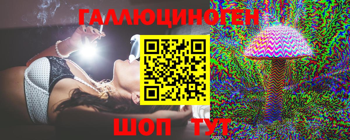Галлюциногенные грибы Psilocybe  Вход с VPN  Котлас 